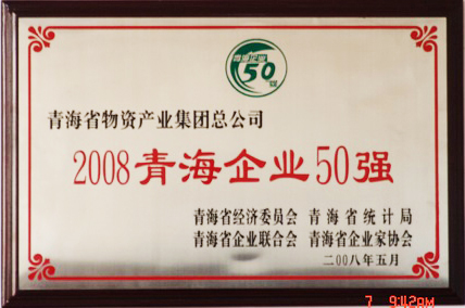 2008青海企業(yè)50強