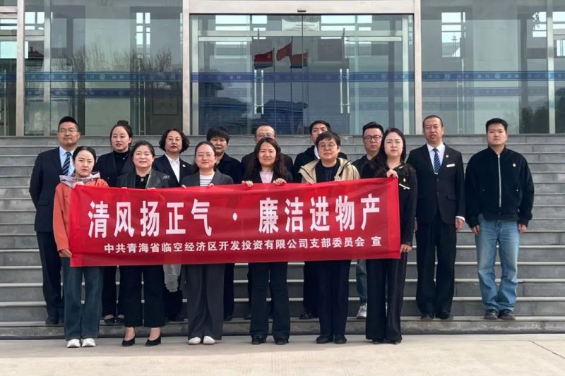 臨空公司黨支部開展“以案為鑒守初心 警鐘長鳴鑄清廉”主題黨日活動(dòng)