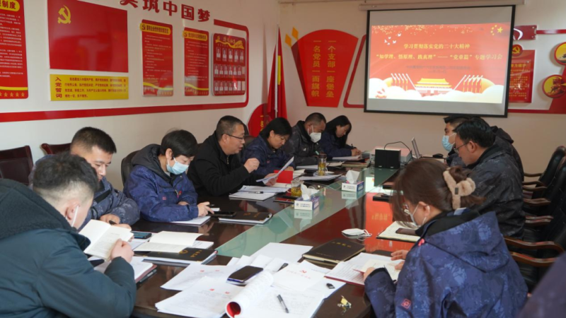 物產(chǎn)汽貿(mào)黨支部召開“知學理、悟原理、踐真理” ——黨章篇”專題學習會